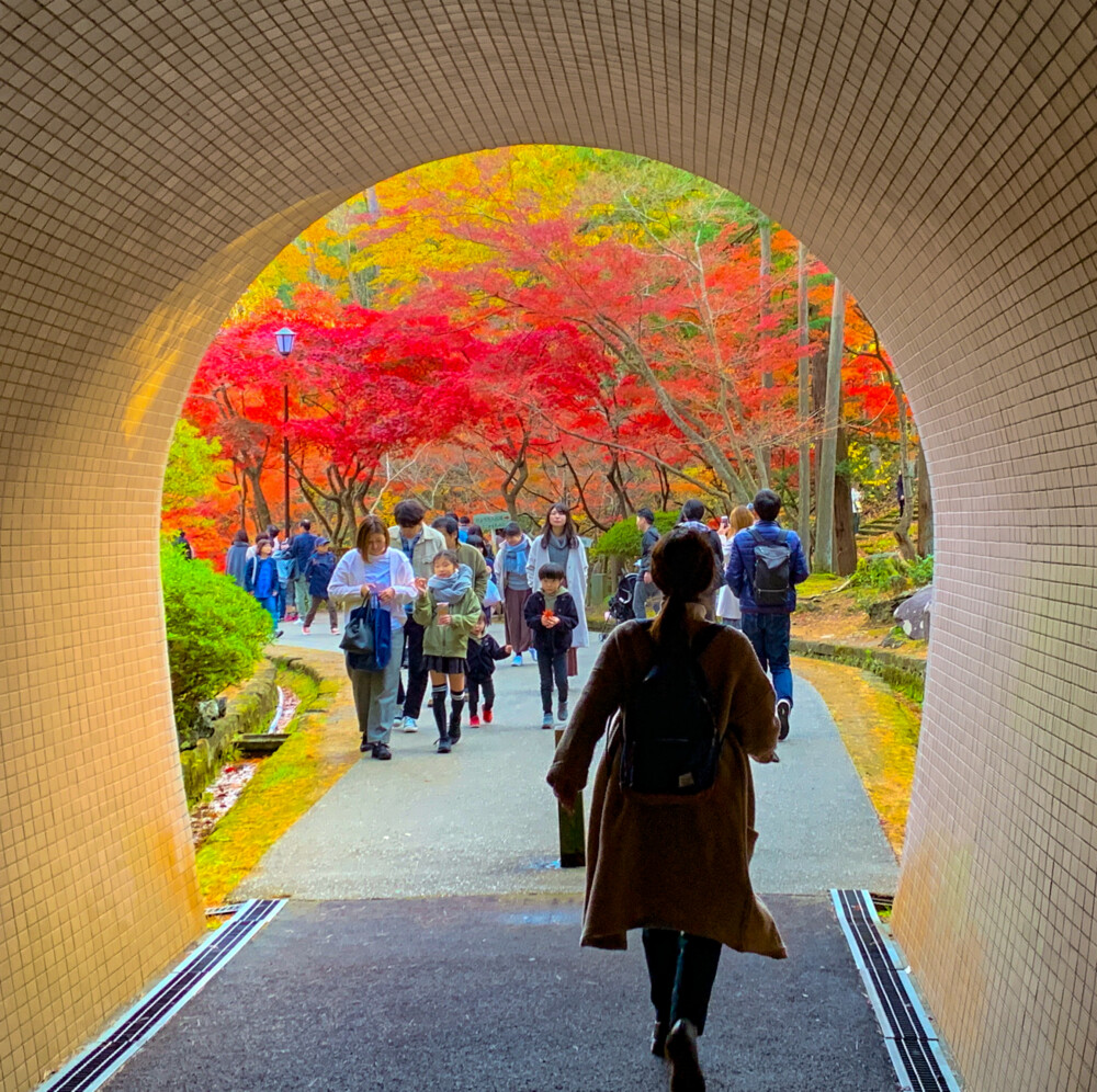 今月の1枚写真